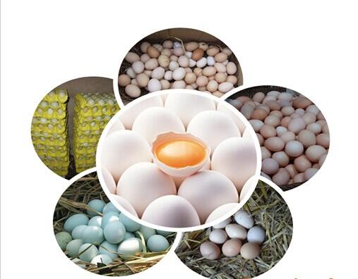 1492567887497746.jpg 4.jpg