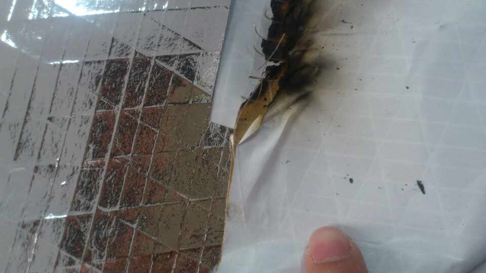 1511746579473332.jpg webwxgetmsgimg.jpg