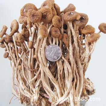 u=1457975591,3191030885&fm=23&