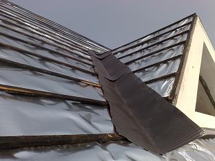 1511676752987752.jpg 2011102909034051.jpg