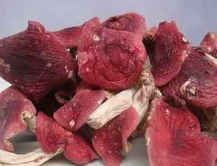 u=4068401149,2703442896&fm=23&