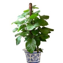 1463180017128238.jpg 333.jpg