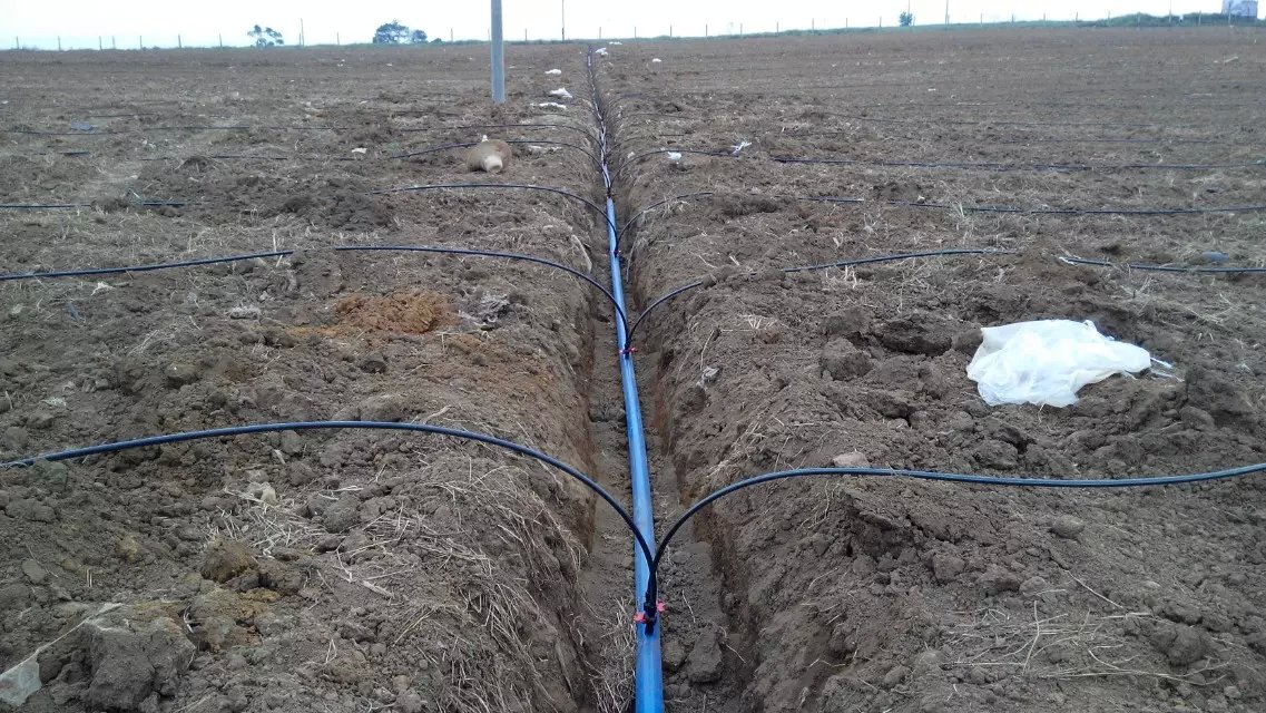 1470100776743733.jpg psb (7).jpg