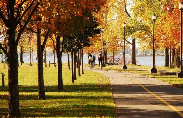 1491547609715824.jpg 01180d8013874eea8c9a47a0b58f16f4_th.jpg