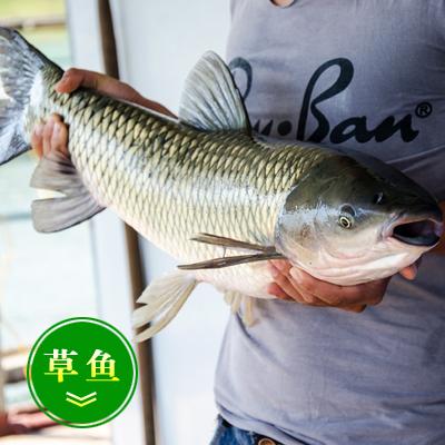 1473915324792704.jpg 6C825EQ88DChRkRlYvIw2AZQUsAAKJ9mSPnpI209!400x400.jpg