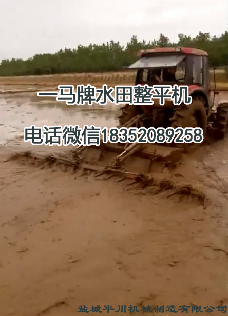 1507613262453614.jpg 大豐農(nóng)場P圖4.jpg