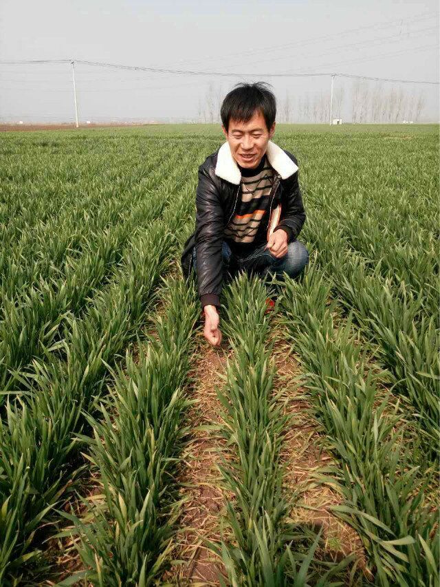 1506135912950213.jpg QQ圖片20170914161335.jpg