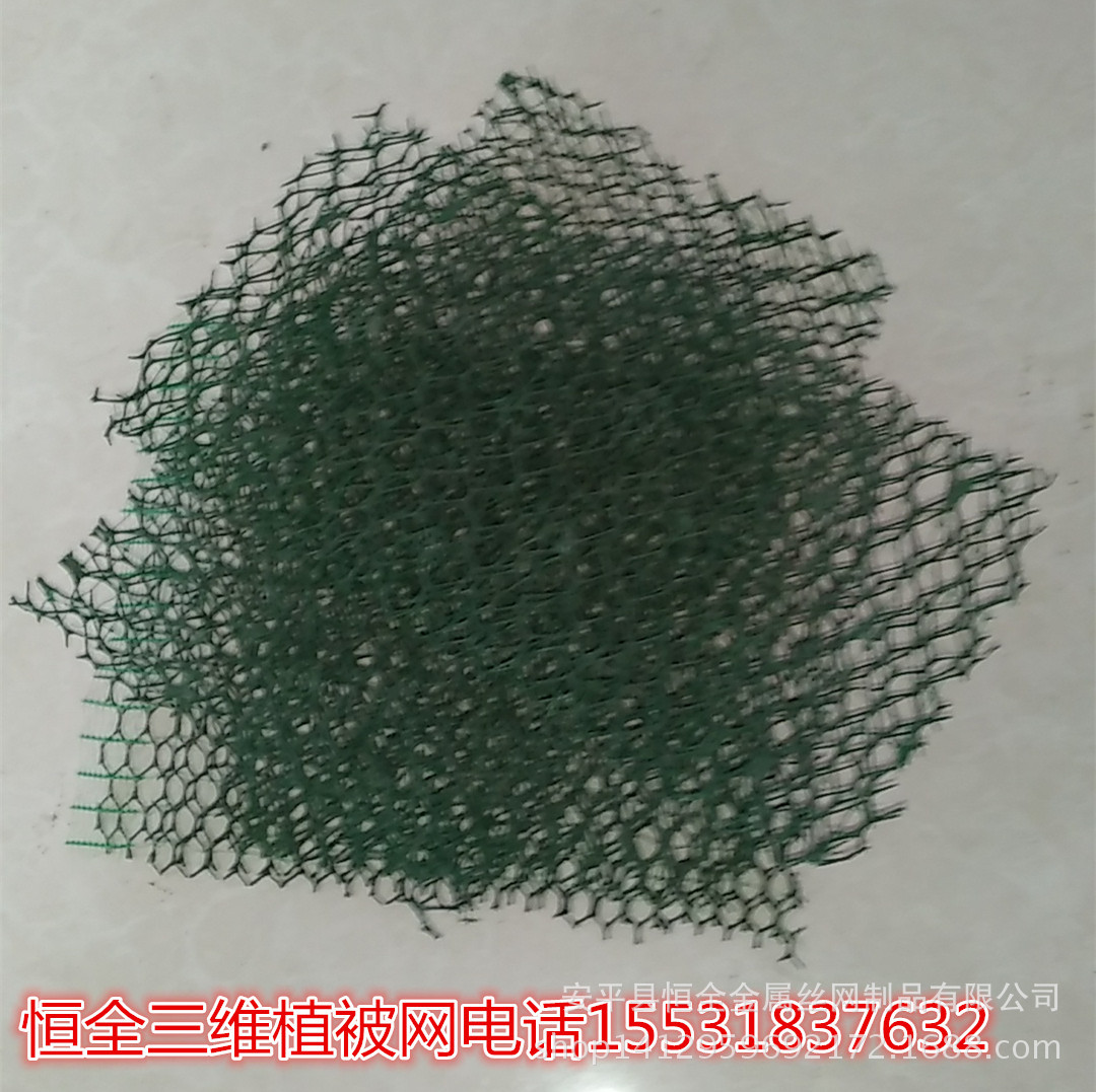 IMG20150822103946_副本