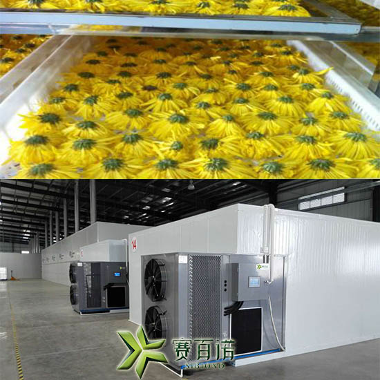 空氣能菊花烘干機(jī).jpg