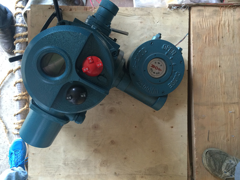 1476233680950321.jpg 智能+蝸輪1.2.JPG