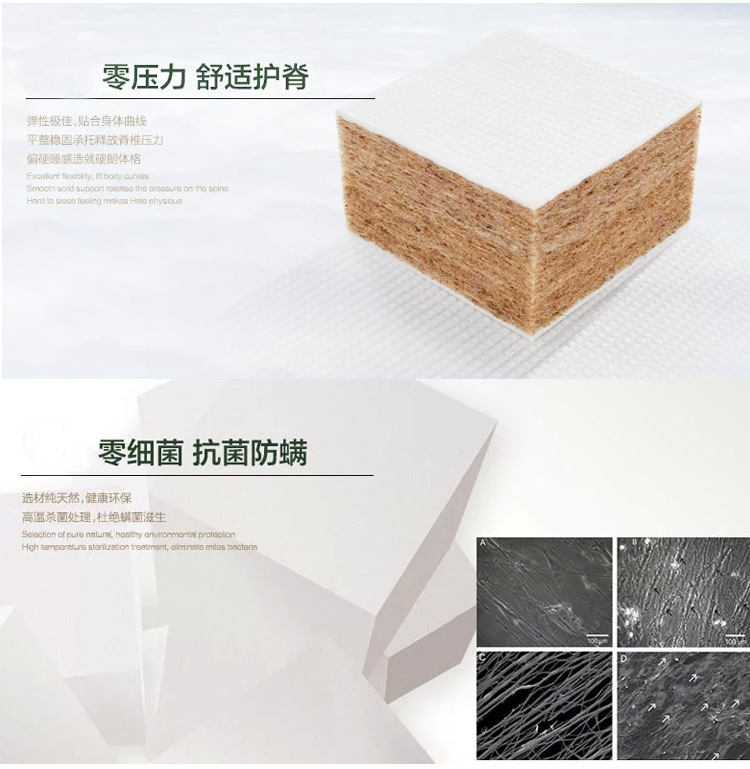 產(chǎn)品細(xì)節(jié)模板2