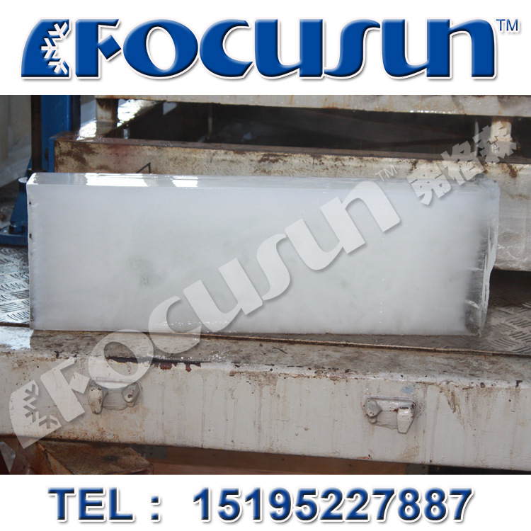 日產(chǎn)12噸集裝箱式塊冰機(jī)