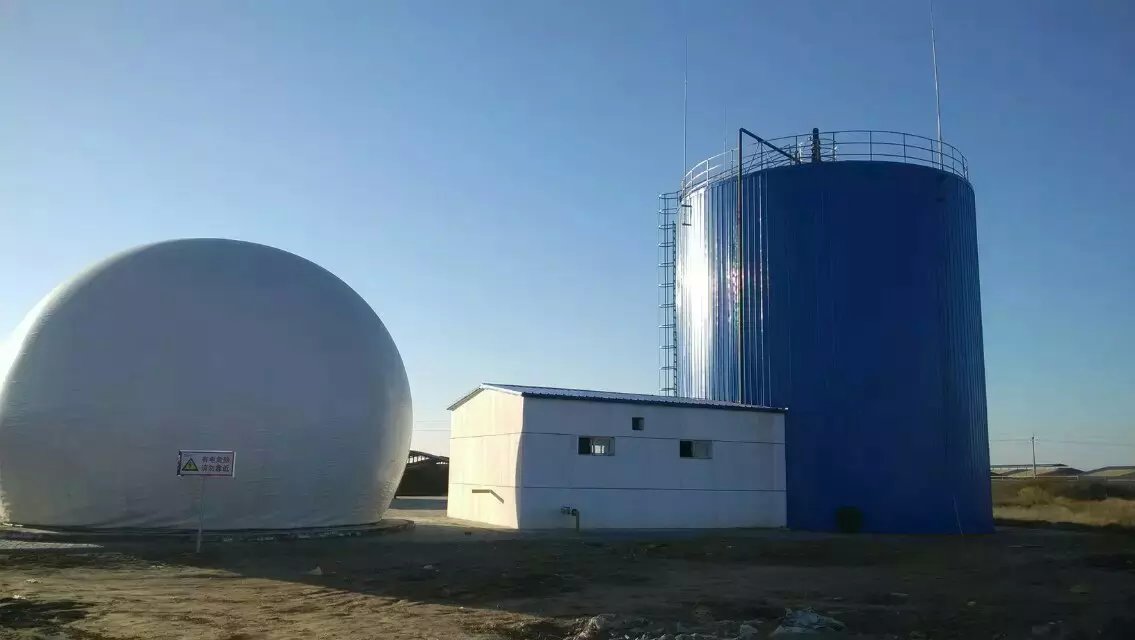 1464938838230590.jpg 罐8.jpg