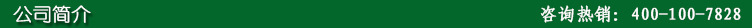 公司簡介
