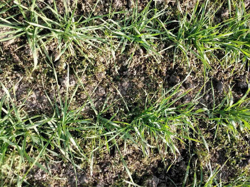 1506135921352311.jpg QQ圖片20170914161753.jpg