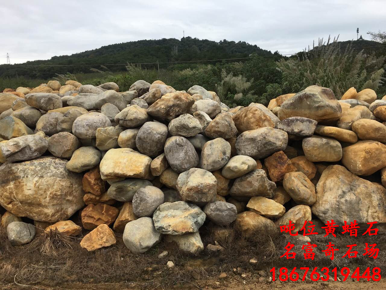 1488783480370356.jpg 10.jpg