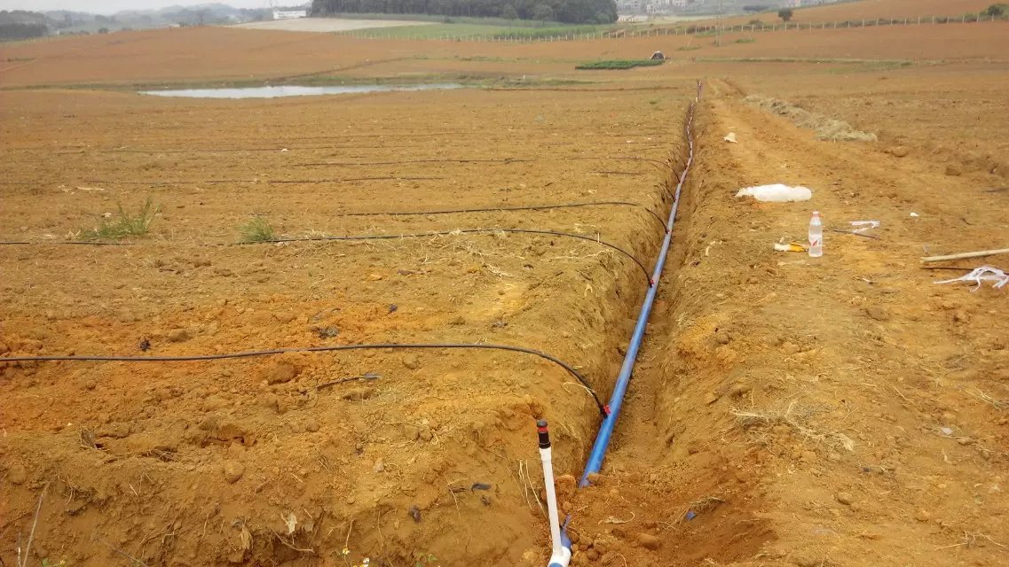 1470100780662595.jpg psb.jpg