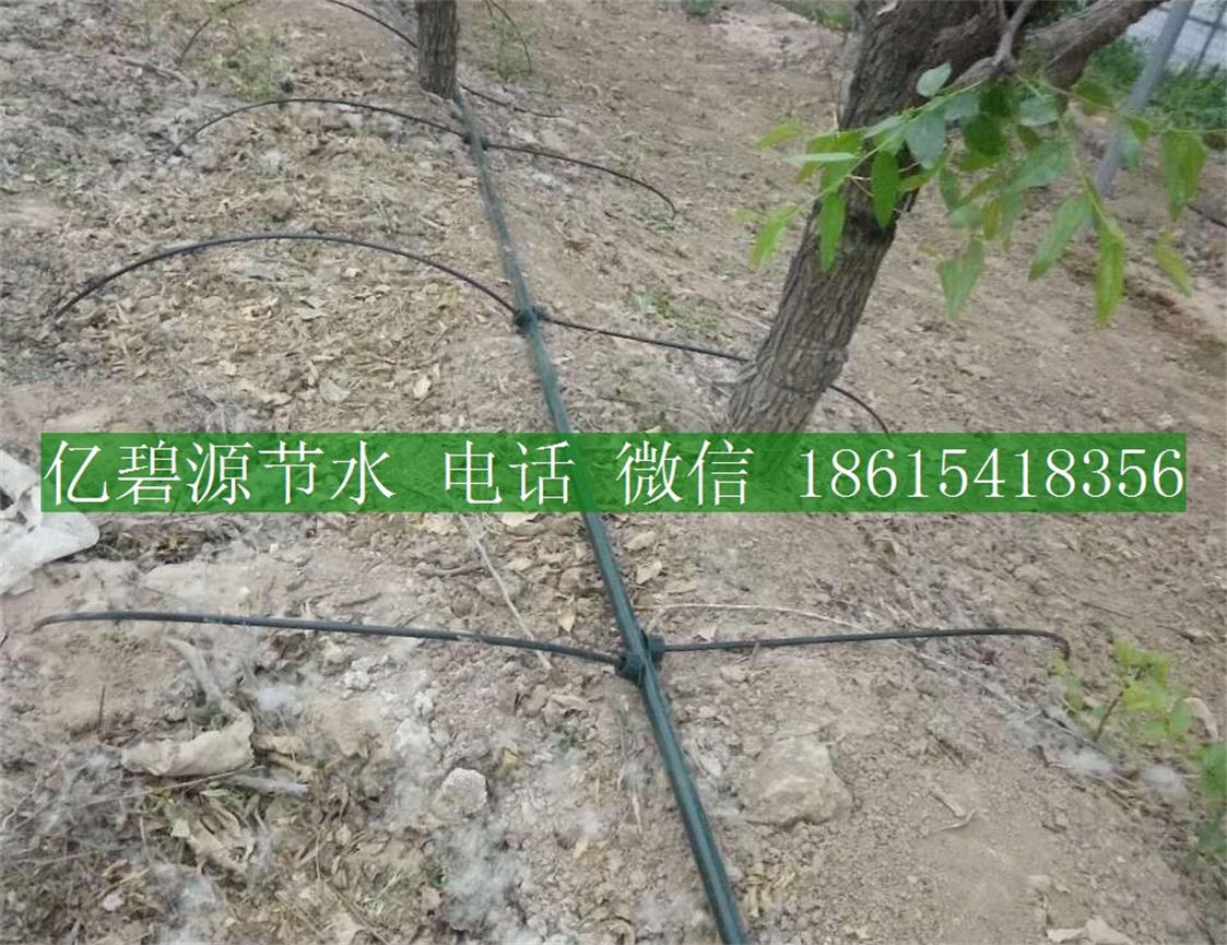 果樹滴灌28.jpg