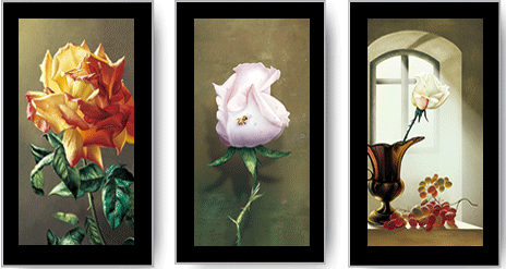 1502779708414931.gif 1231409.gif