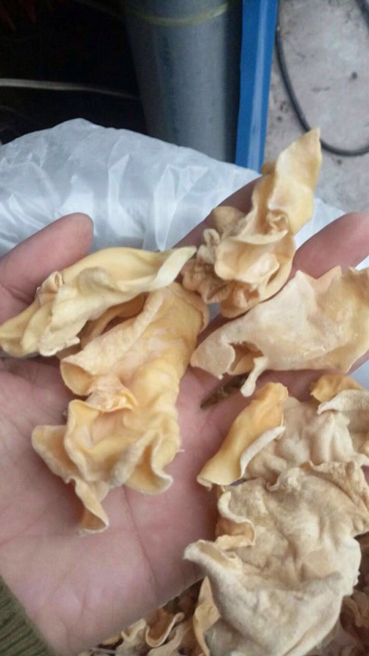 1512530967690216.jpg 1.jpg