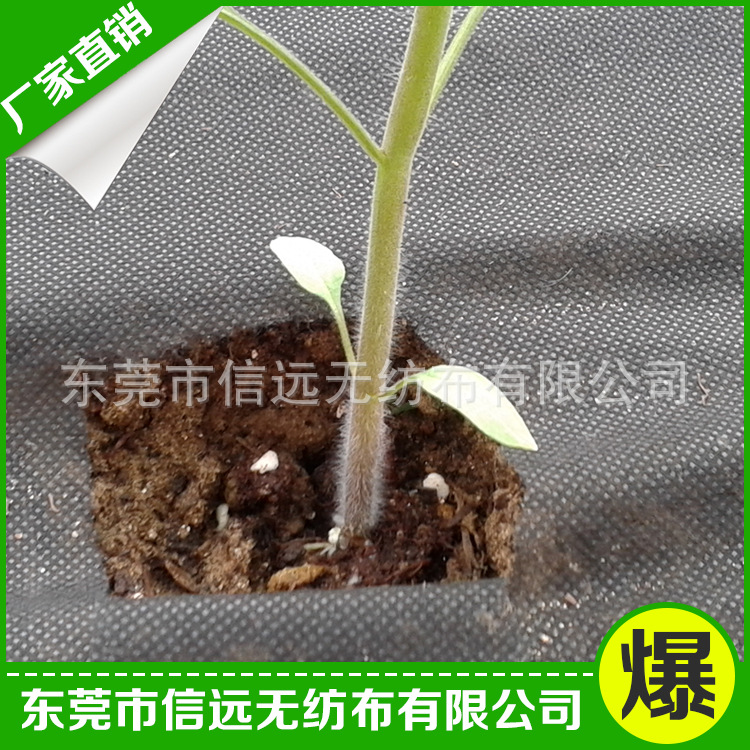 無(wú)紡布地膜3