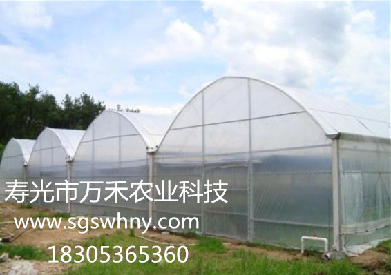 簡(jiǎn)易連棟拱棚 (2).jpg