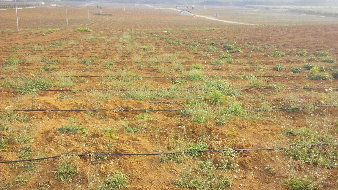 1470193148791012.jpg psb (6).jpg