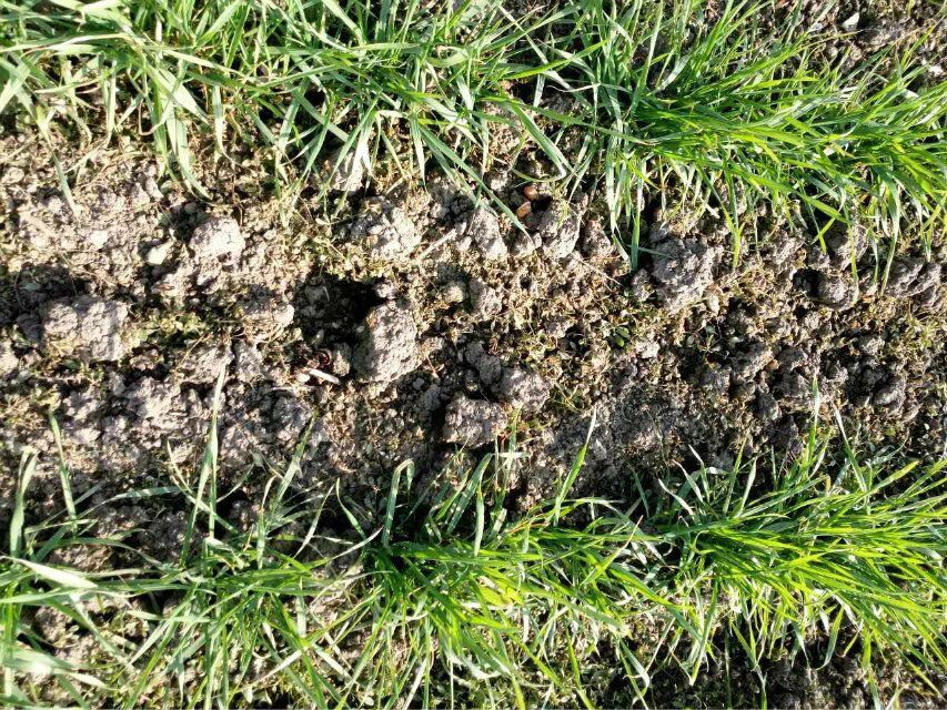 1506135927513179.jpg QQ圖片20170914161443.jpg