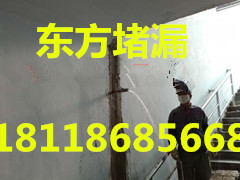 1495760910949249.jpg 6F5E3A3A0415B6AE9F6F54614649BF5E_500_0_max_jpg_副本 - 副本 - 副本 - 副本 - 副本 - 副本.jpg