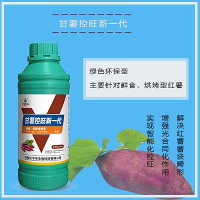 44甘薯控旺新一代功能特點(diǎn) - 副本.jpg