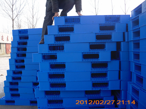 1448157834351598.jpg DSCI1243_副本.jpg