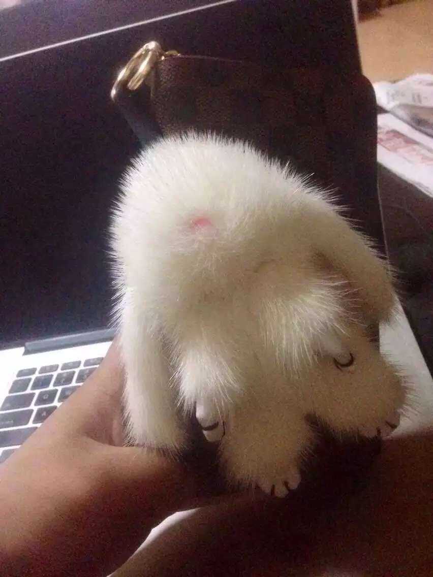 RF1R{%FN1]55O@5ZS@([0V8