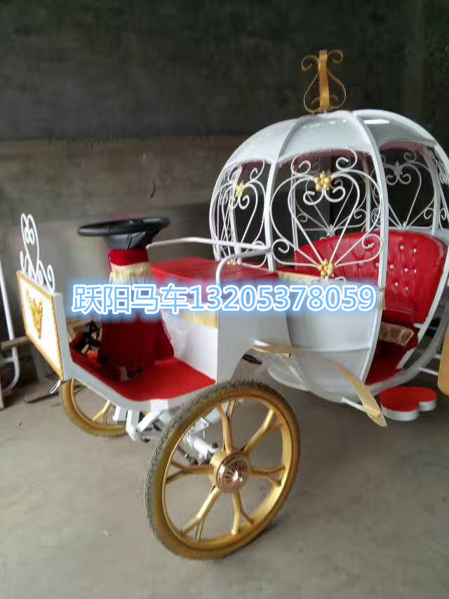 1494727874141091.jpg 電動公主馬車_副本.jpg