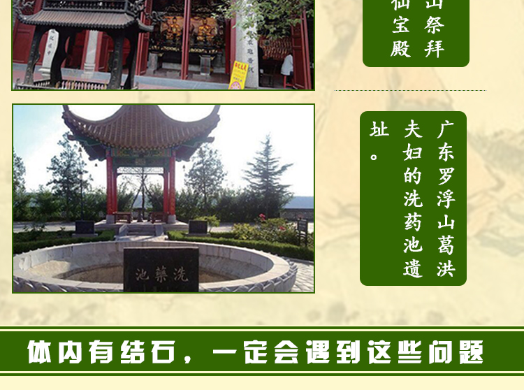 1493087766852099.jpg 石清藤茶新款功效版詳情_(kāi)04.jpg