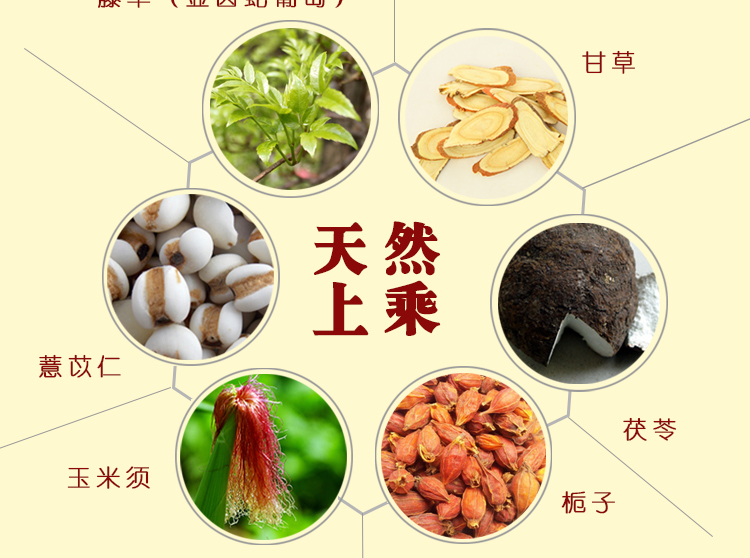 1493087862416947.jpg 石清藤茶新款功效版詳情_(kāi)12.jpg