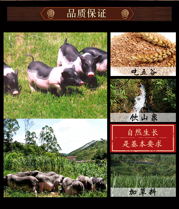 1515425858229847.jpg 2_04.jpg