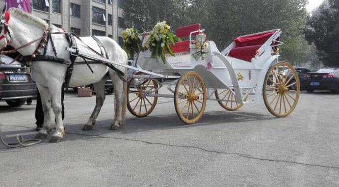 1494727639879642.jpg 不帶電話G}{V7V0Y~KXANPDSU6EQ@A5.jpg