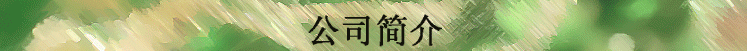 公司簡(jiǎn)介