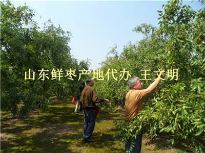 1475112269119547.jpg SAM_1926.jpg