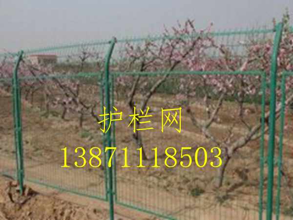 1489721864549921.jpg 09-13-38-83-1080325.jpg.middle.jpg