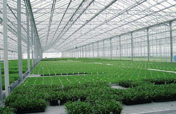 1512376385578135.jpg timg (1).jpg